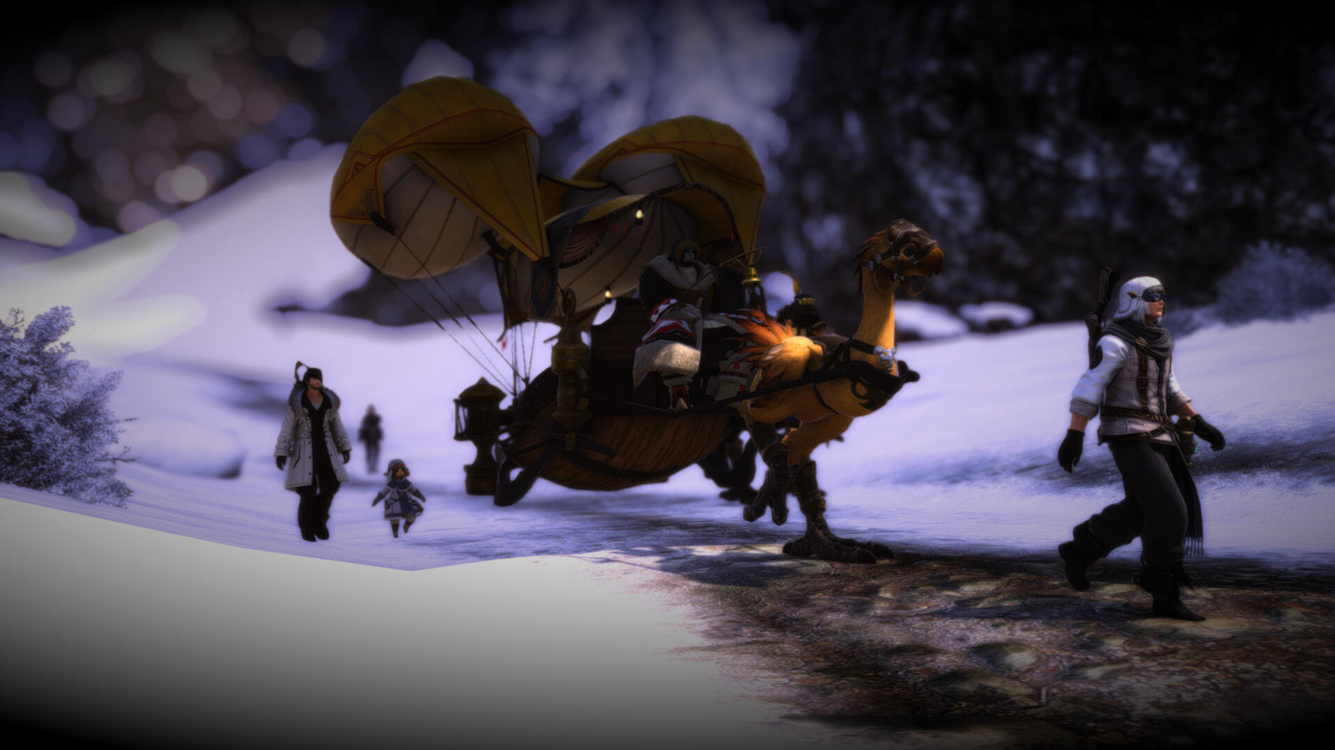 'Knights Arrive'