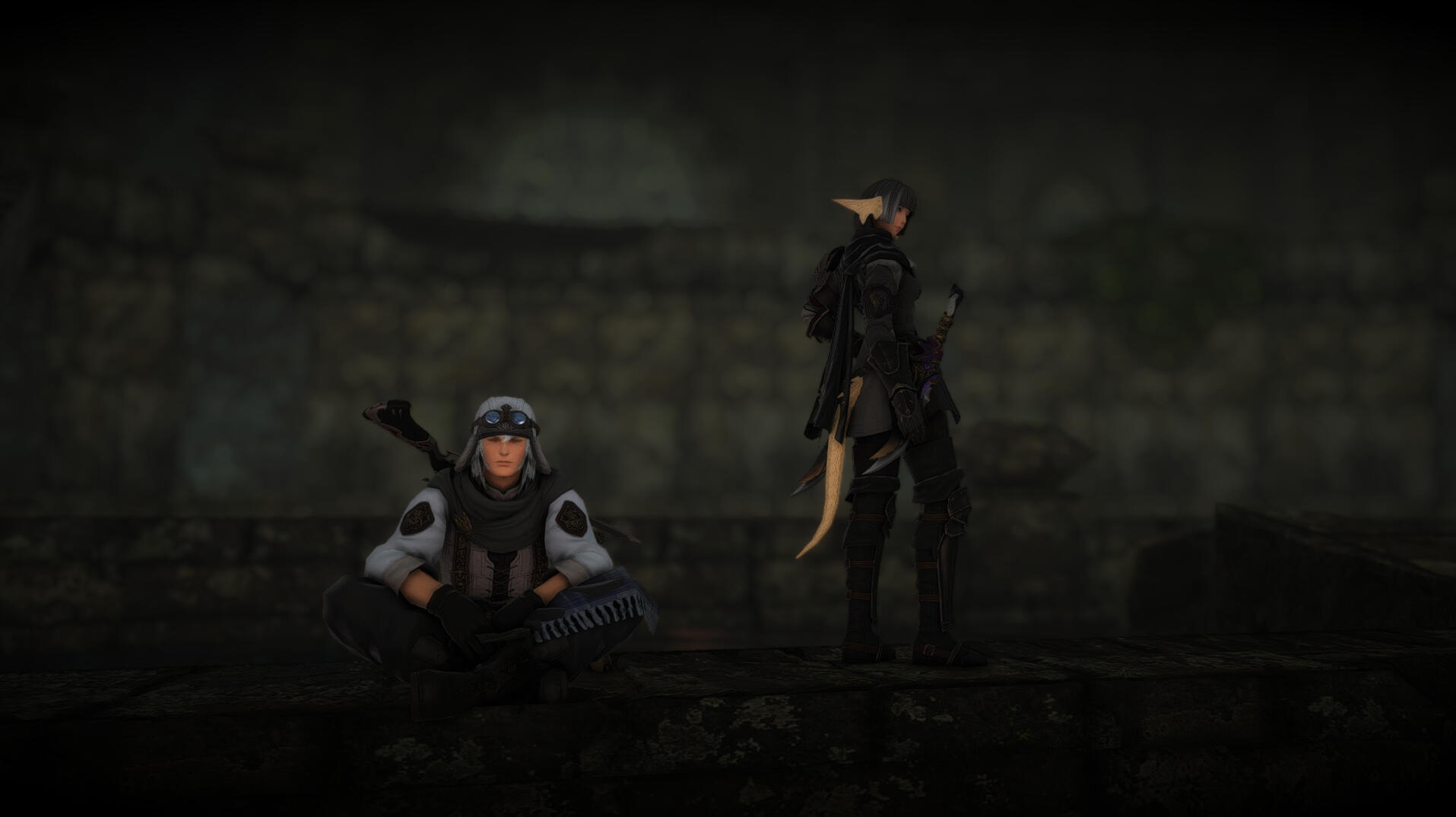 'Knights Arrive'